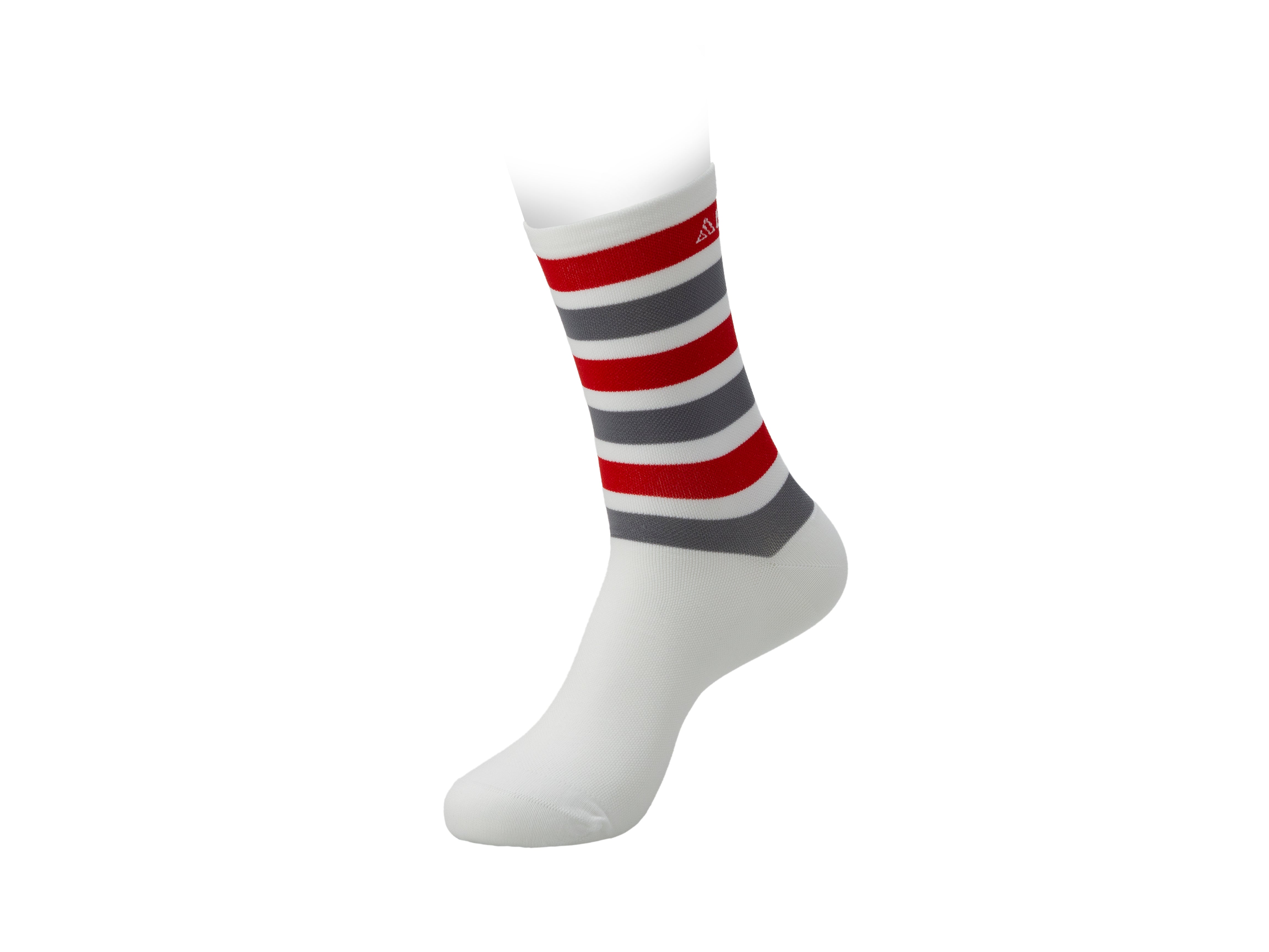 Baggicase Classic Socks
