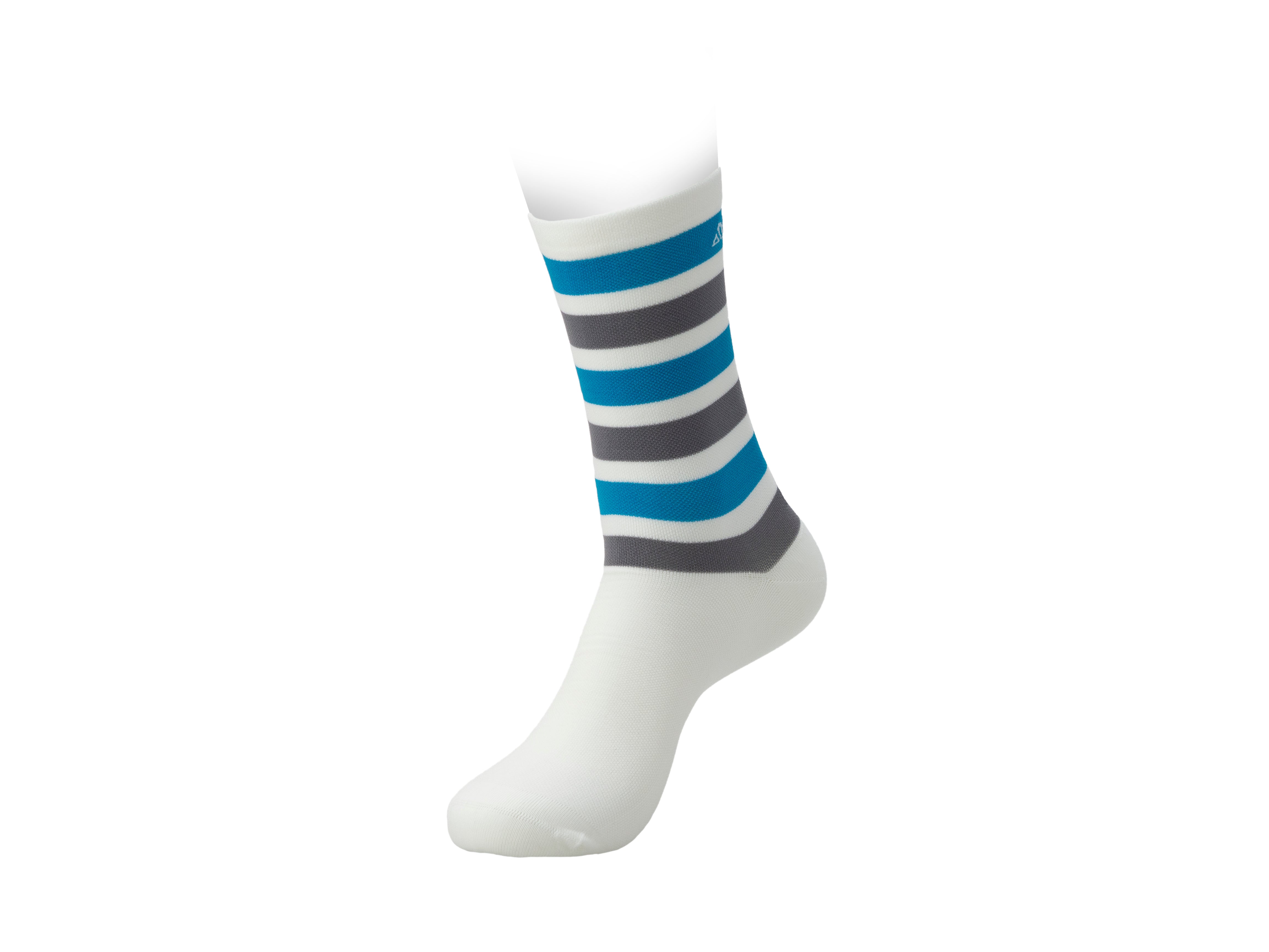 Baggicase Classic Socks