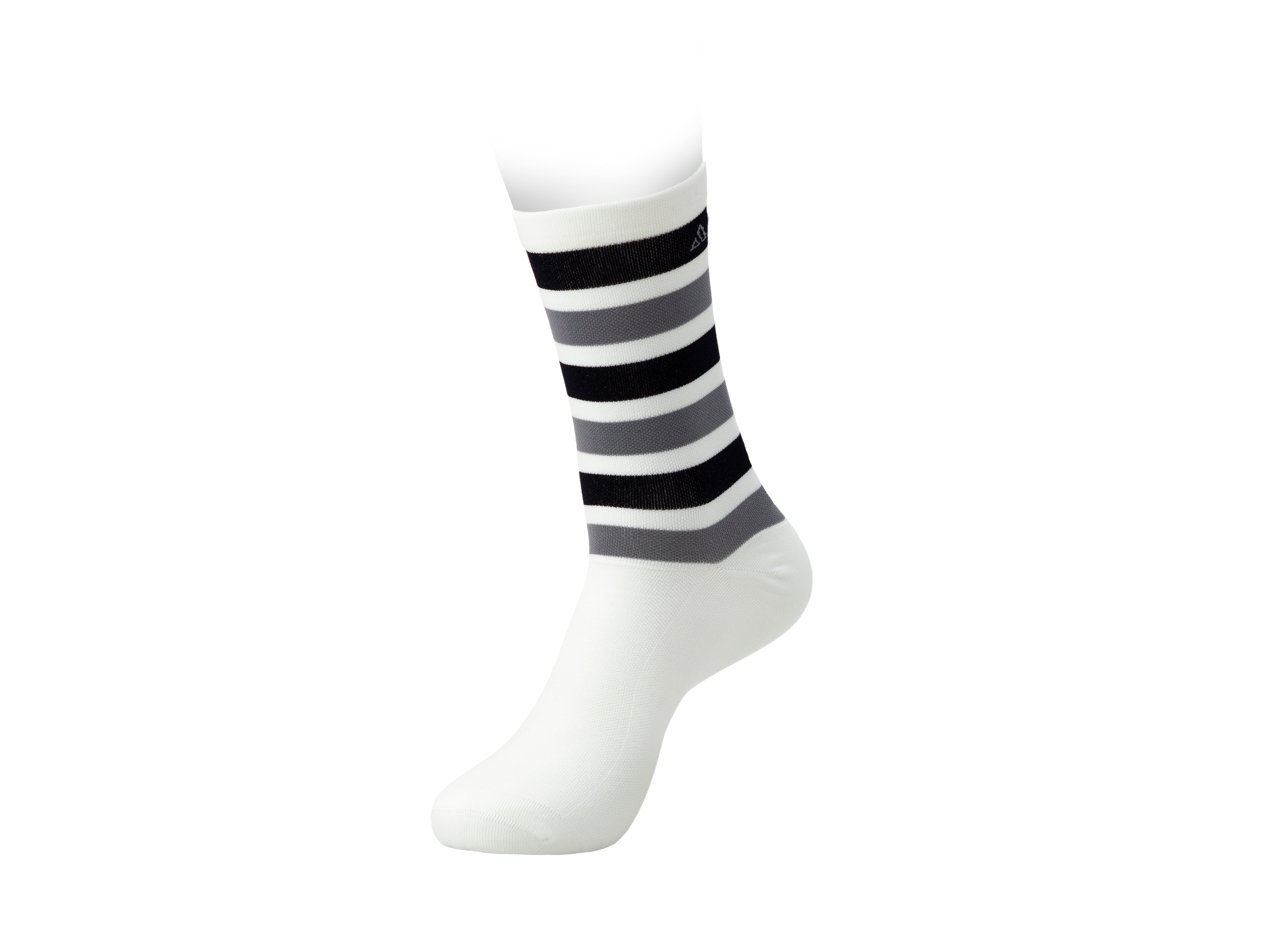 Baggicase Classic Socks