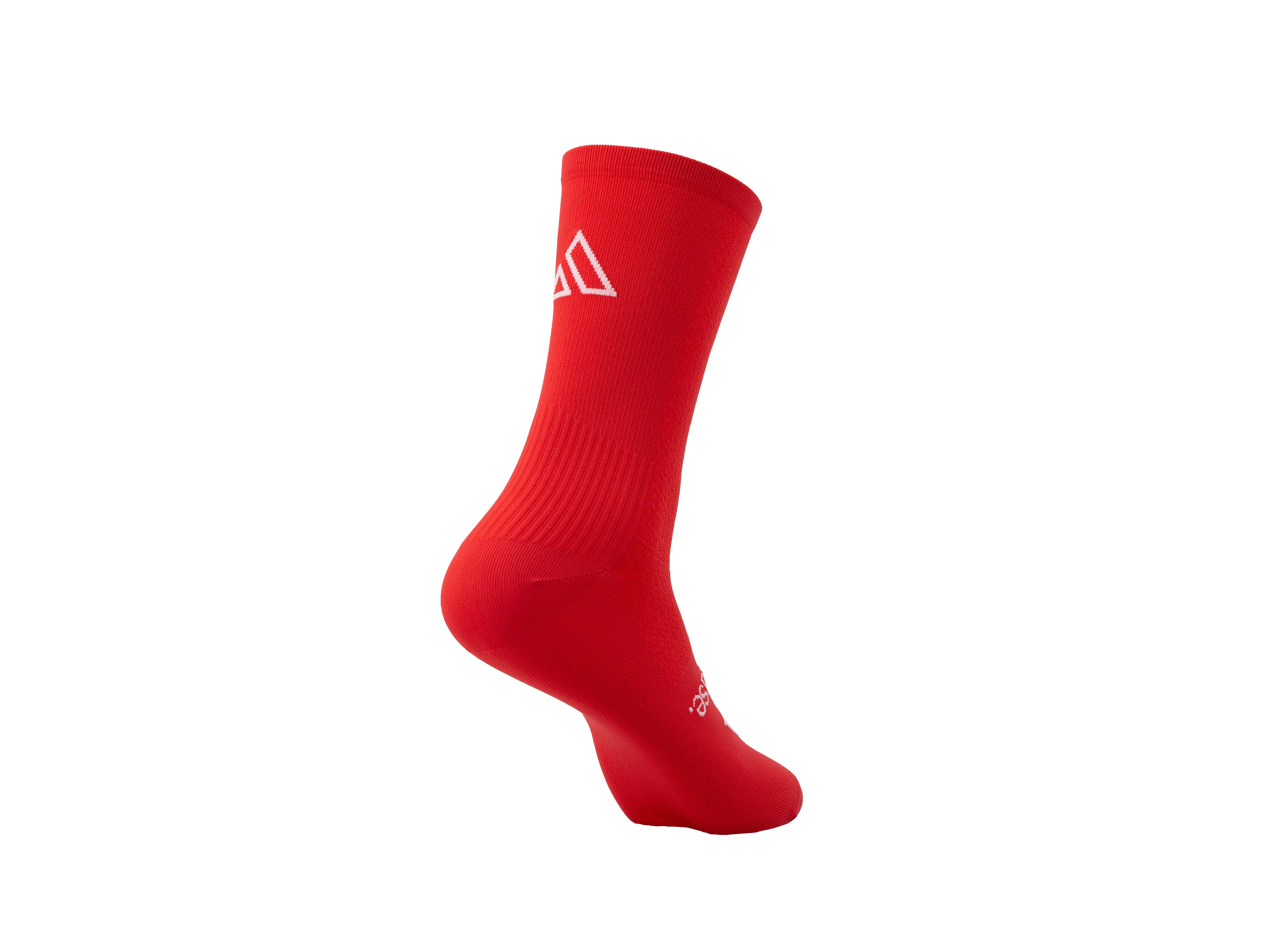 Baggicase Pro Socks