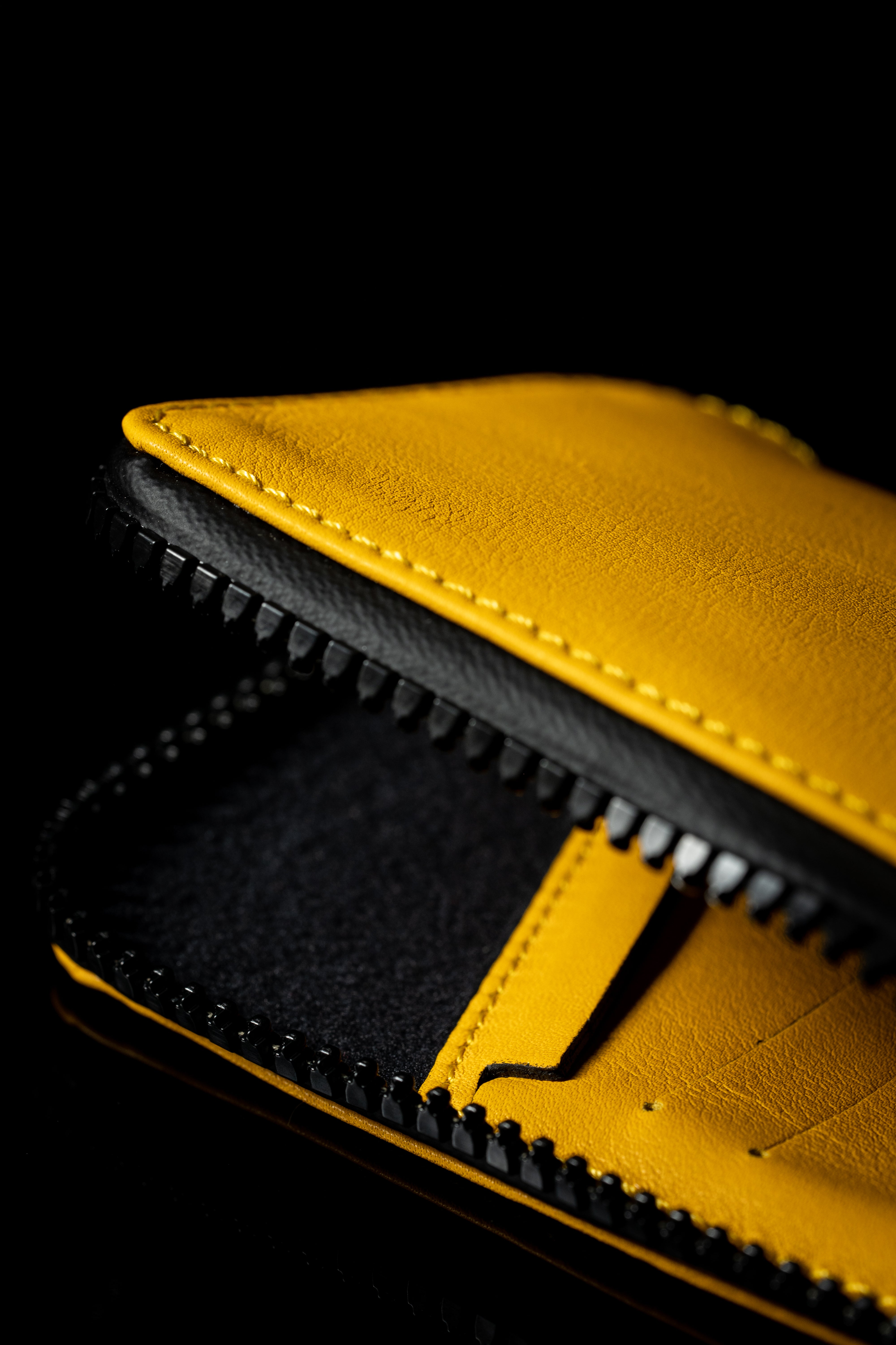 Baggicase Premium